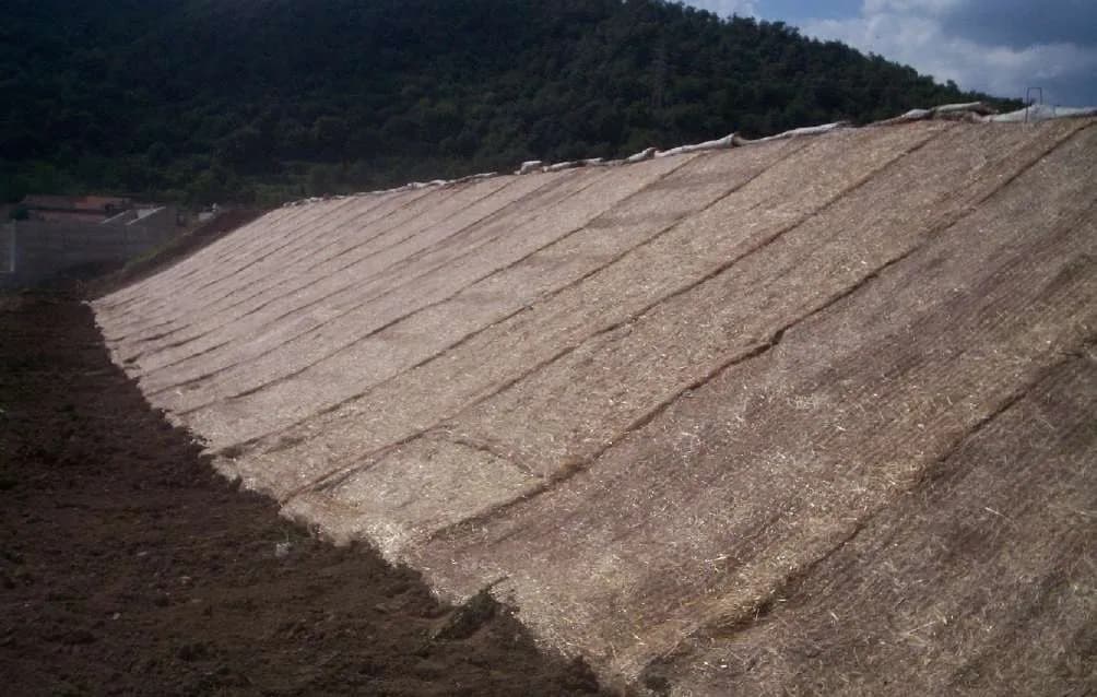 ECOVERMAT instalado sobre talud con cobertura vegetal en establecimiento